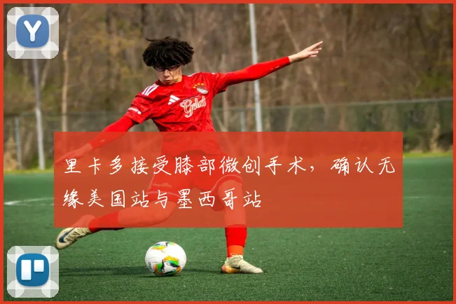 里卡多接受膝部微创手术,确认无缘美国站与墨西哥站